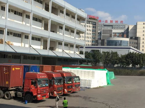 力天國際物流給您拜年啦 感謝社會各界領(lǐng)導(dǎo) 客戶及朋友們的厚愛與支持,堅持物流產(chǎn)品經(jīng)營理念繼續(xù)前行