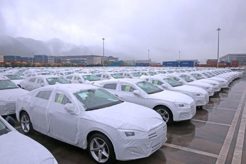 通道帶貿(mào)易 金融促發(fā)展,重慶國際物流樞紐園區(qū)展現(xiàn)內(nèi)陸開放 新勢能